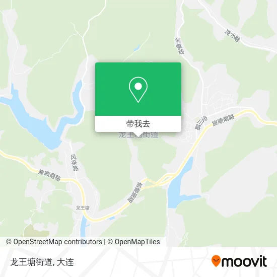 龙王塘街道地图