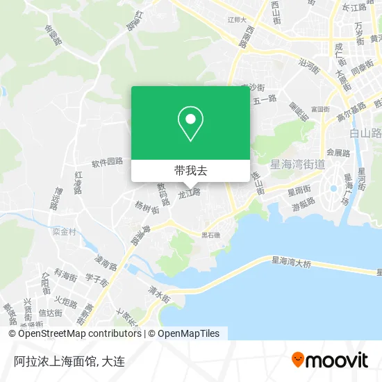 阿拉浓上海面馆地图