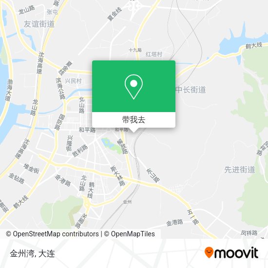 金州湾地图