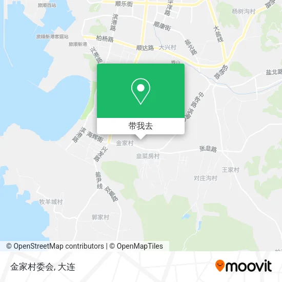 金家村委会地图