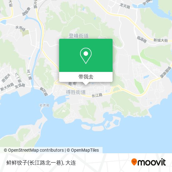 鲜鲜饺子(长江路北一巷)地图