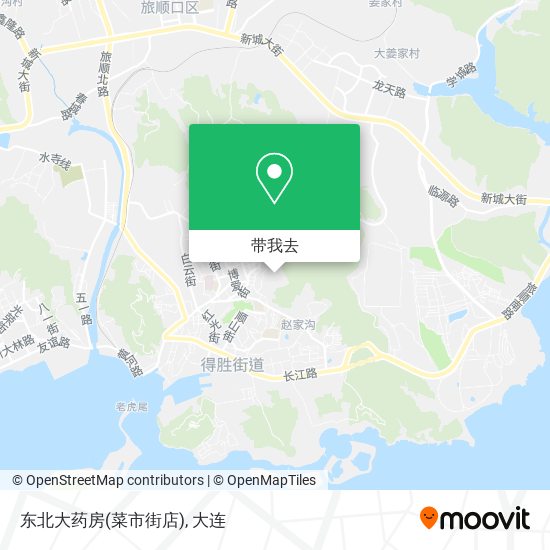 东北大药房(菜市街店)地图