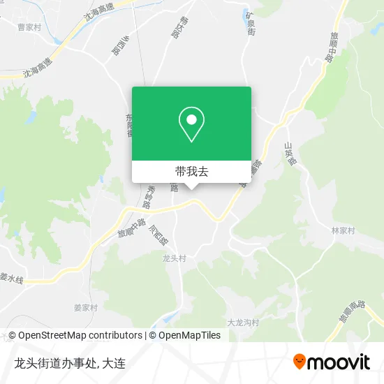 龙头街道办事处地图