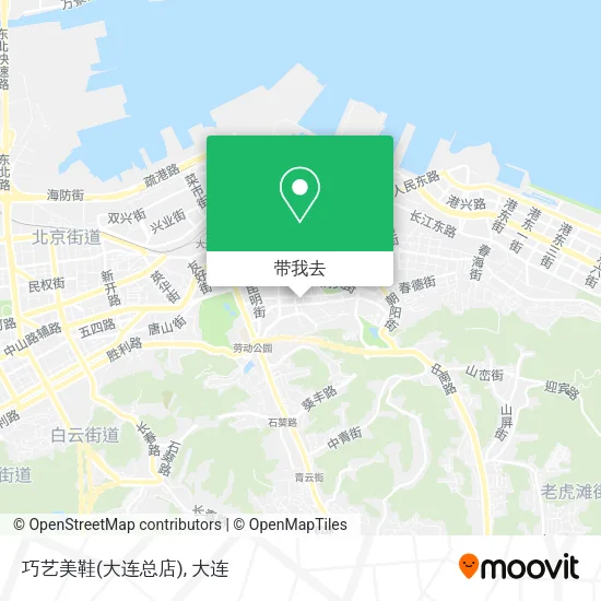 巧艺美鞋(大连总店)地图
