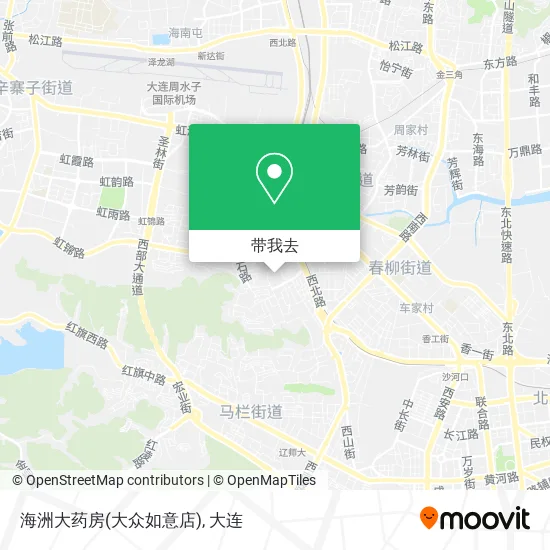 海洲大药房(大众如意店)地图