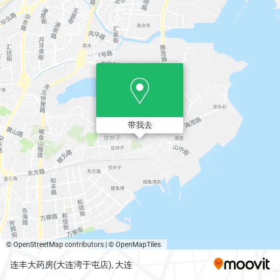 连丰大药房(大连湾于屯店)地图