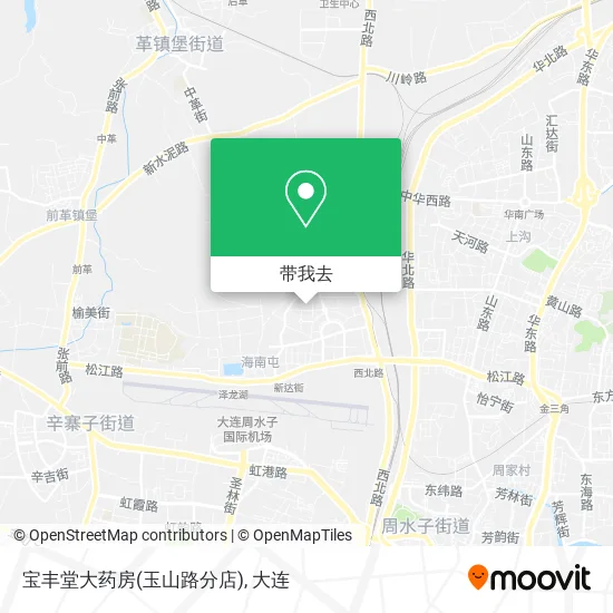 宝丰堂大药房(玉山路分店)地图