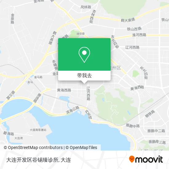大连开发区谷锡臻诊所地图