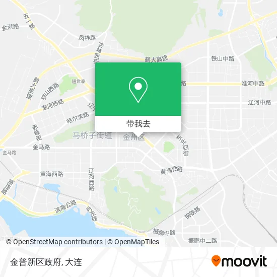 金普新区政府地图