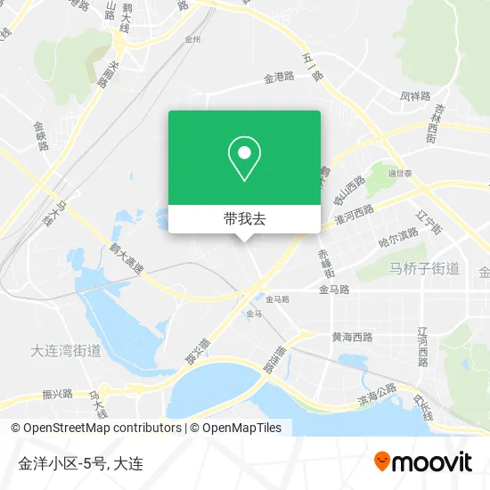 金洋小区-5号地图