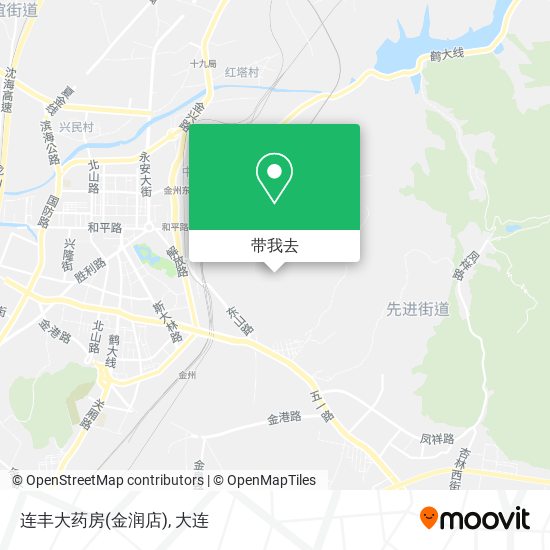 连丰大药房(金润店)地图