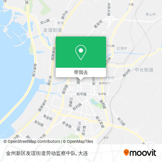 金州新区友谊街道劳动监察中队地图