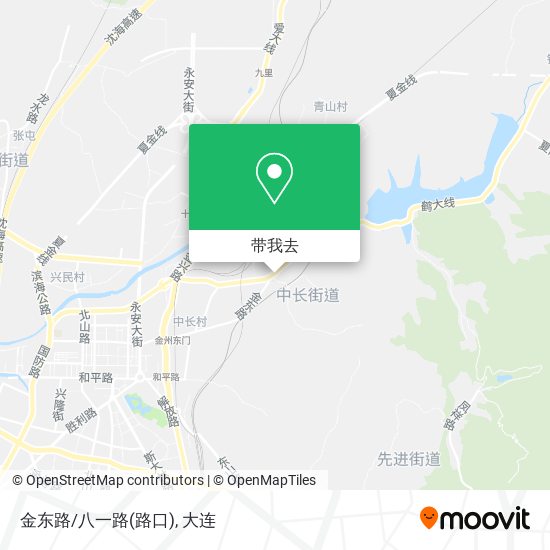 金东路/八一路(路口)地图