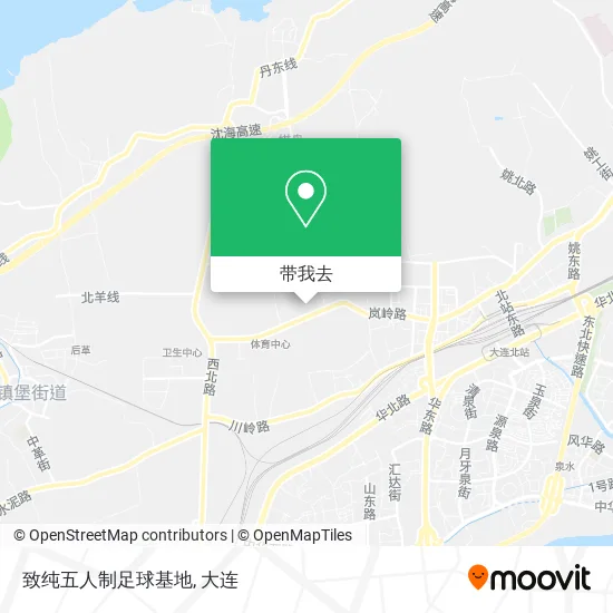 致纯五人制足球基地地图