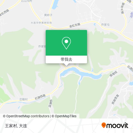 王家村地图