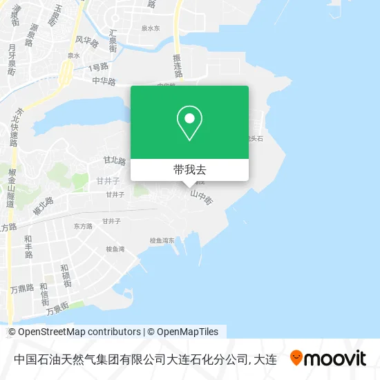 中国石油天然气集团有限公司大连石化分公司地图