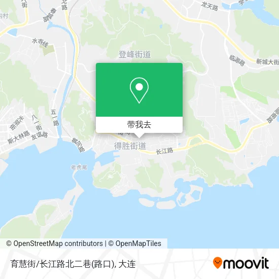 育慧街/长江路北二巷(路口)地图