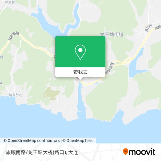 旅顺南路/龙王塘大桥(路口)地图