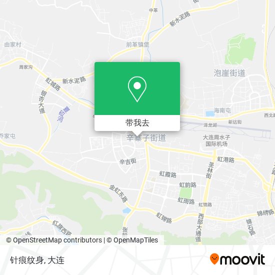 针痕纹身地图