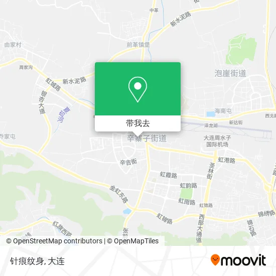 针痕纹身地图