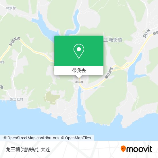 龙王塘(地铁站)地图