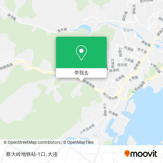 蔡大岭地铁站-1口地图