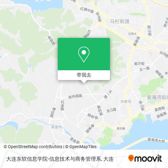 大连东软信息学院-信息技术与商务管理系地图