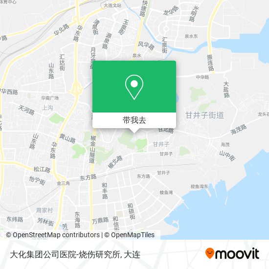 大化集团公司医院-烧伤研究所地图