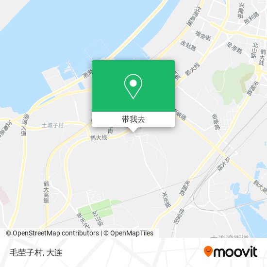毛茔子村地图