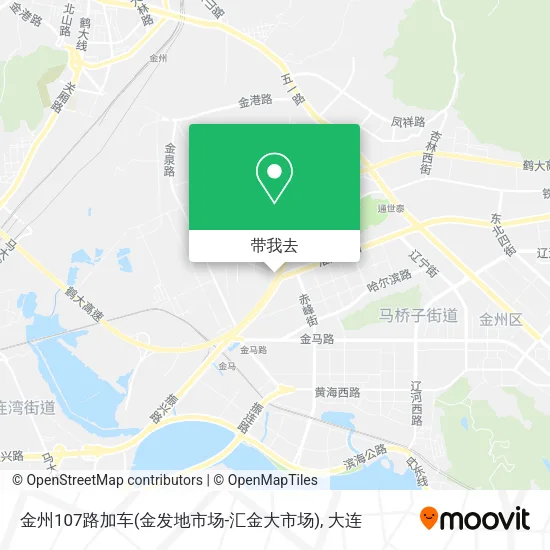 金州107路加车(金发地市场-汇金大市场)地图
