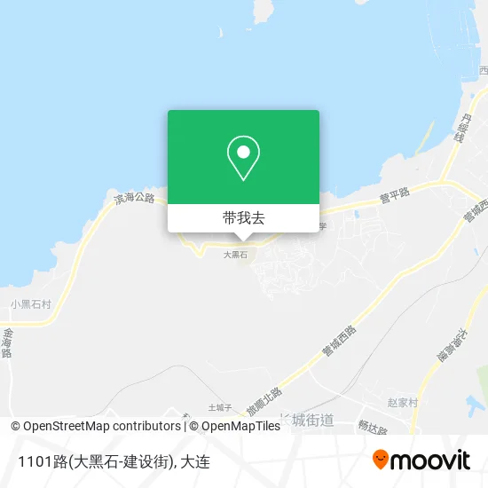 1101路(大黑石-建设街)地图