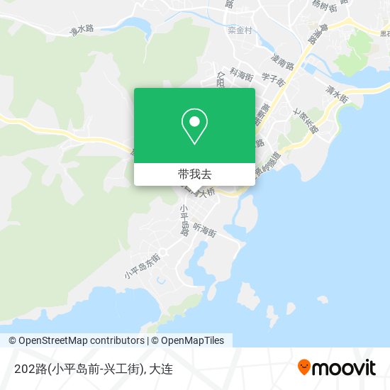 202路(小平岛前-兴工街)地图