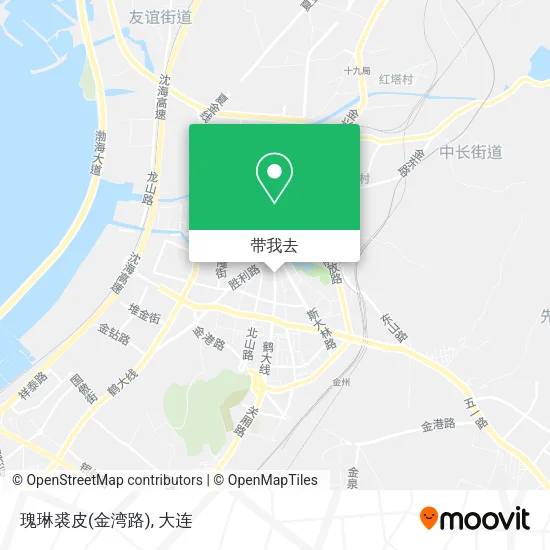 瑰琳裘皮(金湾路)地图
