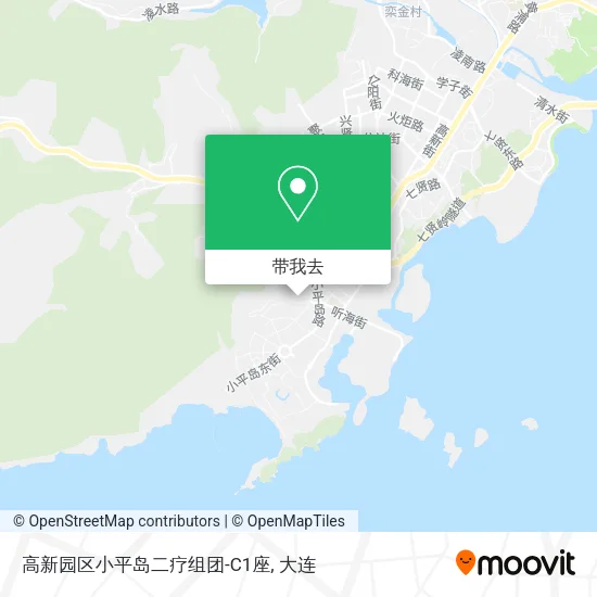 高新园区小平岛二疗组团-C1座地图