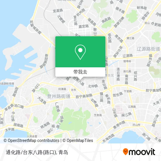 通化路/台东八路(路口)地图