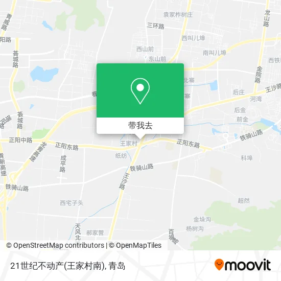 21世纪不动产(王家村南)地图