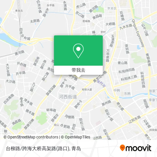 台柳路/跨海大桥高架路(路口)地图