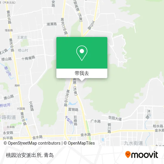 桃园治安派出所地图