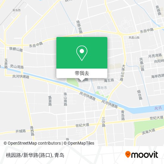 桃园路/新华路(路口)地图