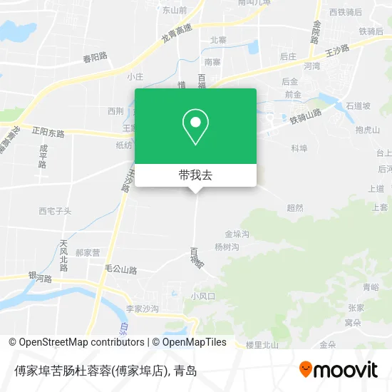 傅家埠苦肠杜蓉蓉(傅家埠店)地图