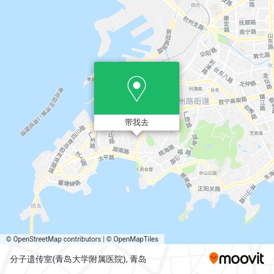 分子遗传室(青岛大学附属医院)地图