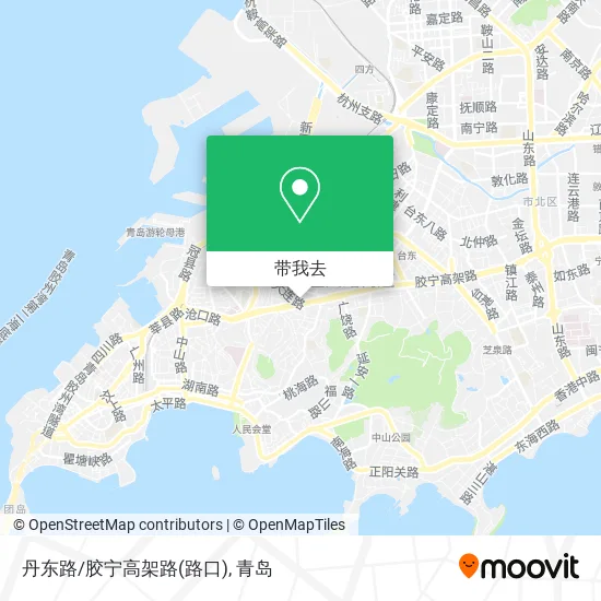 丹东路/胶宁高架路(路口)地图