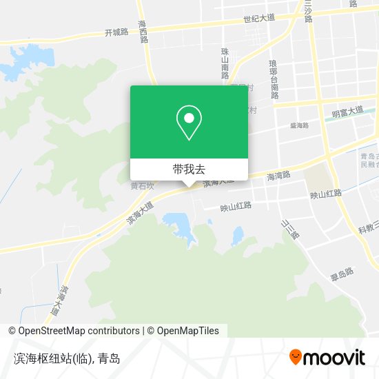 滨海枢纽站(临)地图