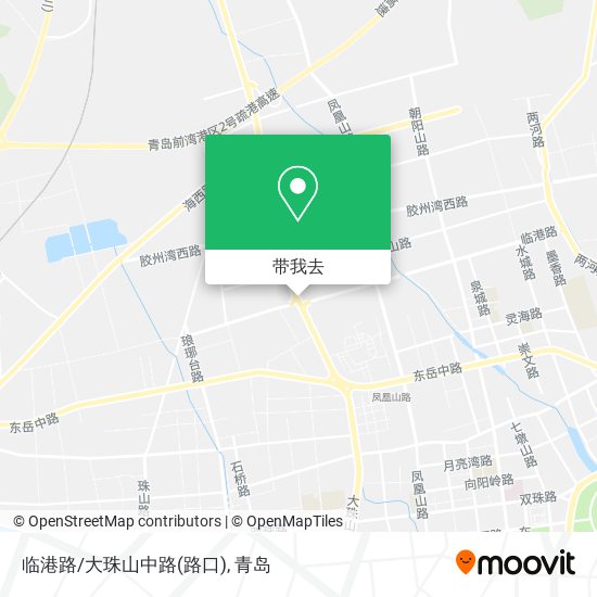 临港路/大珠山中路(路口)地图