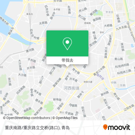 重庆南路/重庆路立交桥(路口)地图