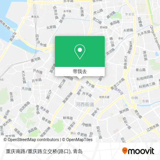 重庆南路/重庆路立交桥(路口)地图