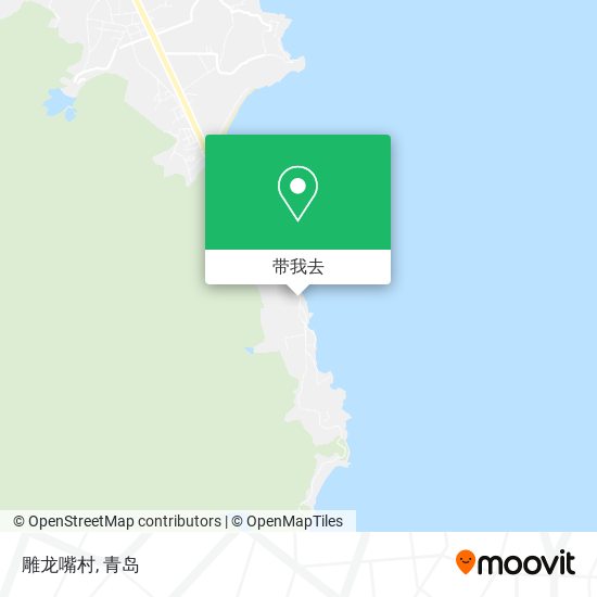 雕龙嘴村地图