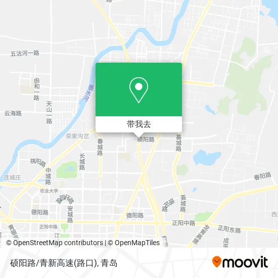 硕阳路/青新高速(路口)地图