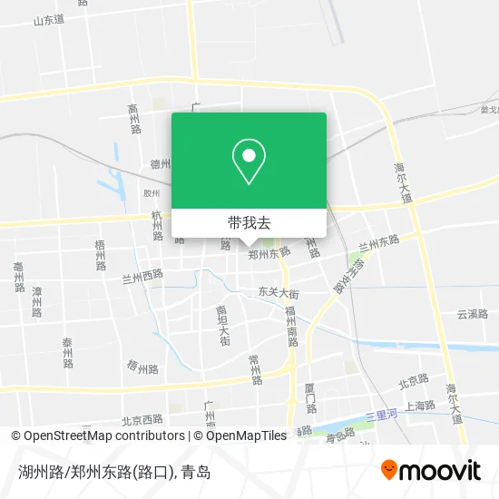 湖州路/郑州东路(路口)地图