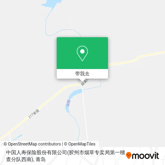 中国人寿保险股份有限公司(胶州市烟草专卖局第一稽查分队西南)地图